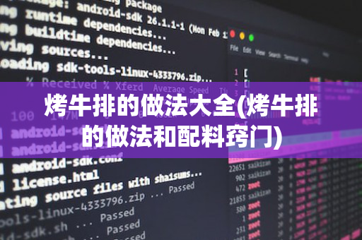 烤牛排的做法大全(烤牛排的做法和配料窍门)