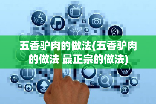 五香驴肉的做法(五香驴肉的做法 最正宗的做法)