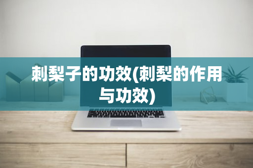 刺梨子的功效(刺梨的作用与功效)