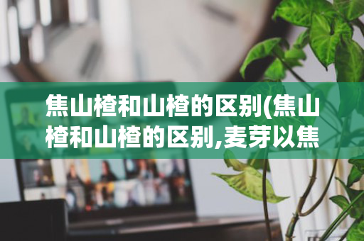 焦山楂和山楂的区别(焦山楂和山楂的区别,麦芽以焦麦芽的区别, 茯苓的功效)