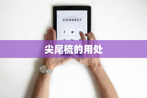 尖尾梳的用处