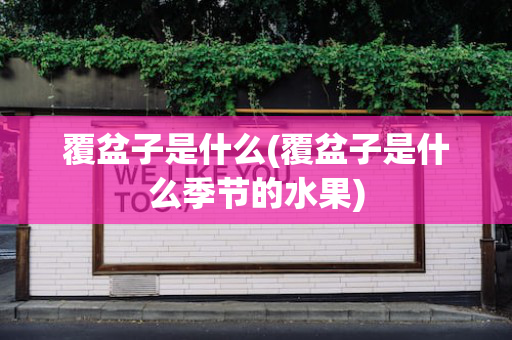覆盆子是什么(覆盆子是什么季节的水果)