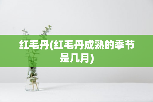 红毛丹(红毛丹成熟的季节是几月)