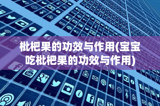 枇杷果的功效与作用(宝宝吃枇杷果的功效与作用)