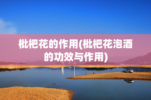 枇杷花的作用(枇杷花泡酒的功效与作用)