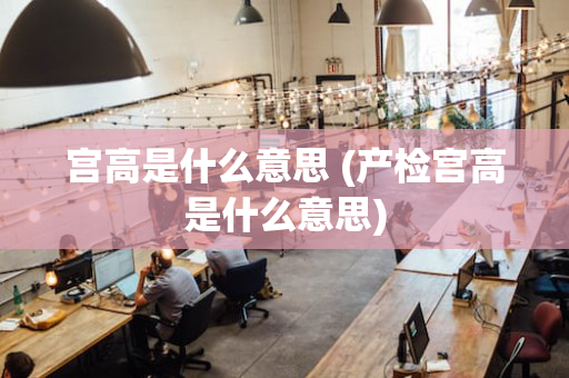 宫高是什么意思 (产检宫高是什么意思)