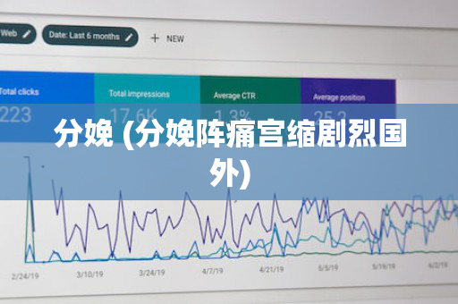 分娩 (分娩阵痛宫缩剧烈国外)