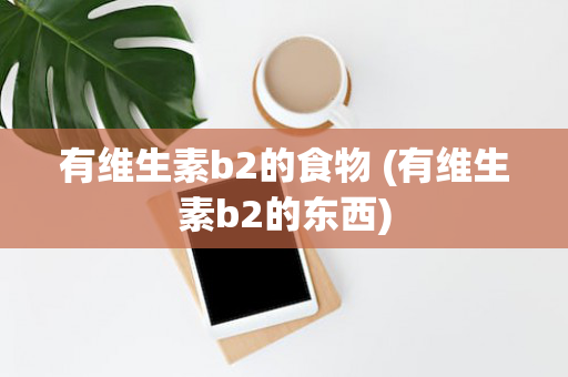 有维生素b2的食物 (有维生素b2的东西)