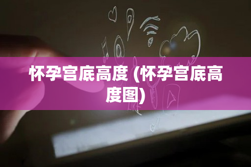 怀孕宫底高度 (怀孕宫底高度图)