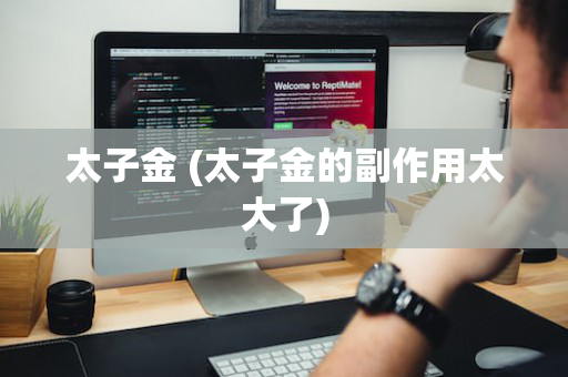 太子金 (太子金的副作用太大了)