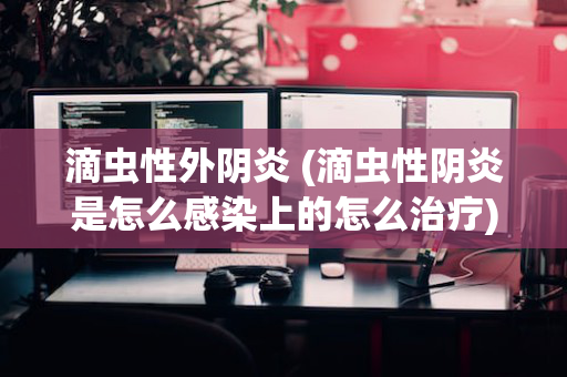 滴虫性外阴炎 (滴虫性阴炎是怎么感染上的怎么治疗)