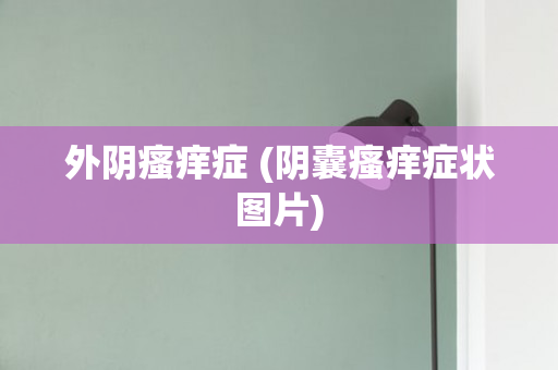 外阴瘙痒症 (阴囊瘙痒症状图片)