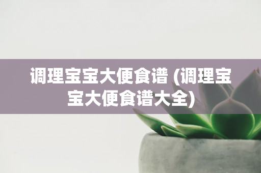 调理宝宝大便食谱 (调理宝宝大便食谱大全)