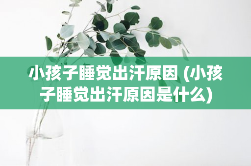 小孩子睡觉出汗原因 (小孩子睡觉出汗原因是什么)