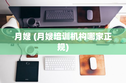 月嫂 (月嫂培训机构哪家正规)
