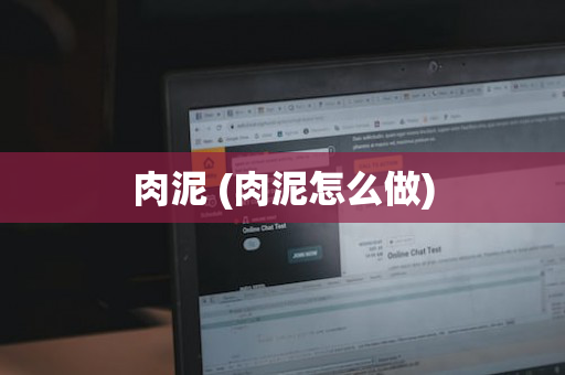 肉泥 (肉泥怎么做)