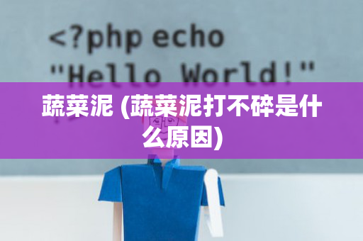 蔬菜泥 (蔬菜泥打不碎是什么原因)