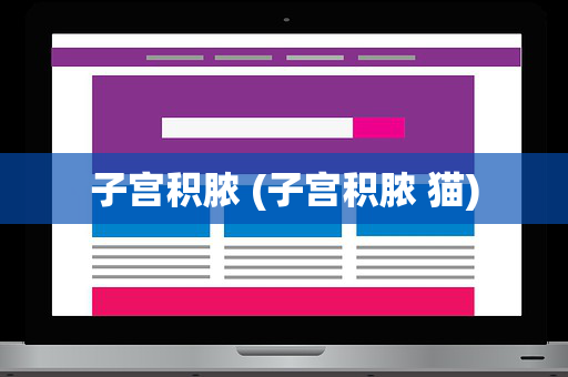 子宫积脓 (子宫积脓 猫)