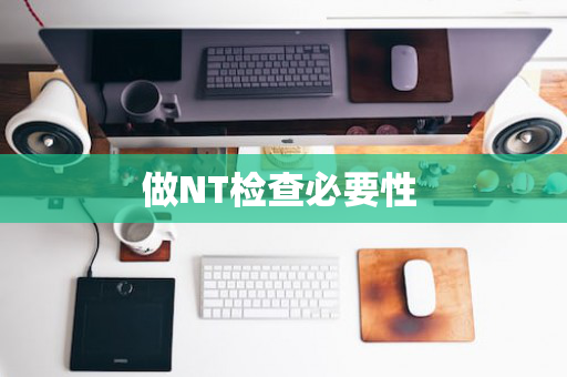 做NT检查必要性 