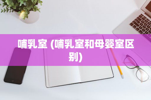 哺乳室 (哺乳室和母婴室区别)