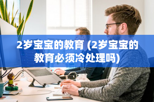 2岁宝宝的教育 (2岁宝宝的教育必须冷处理吗)