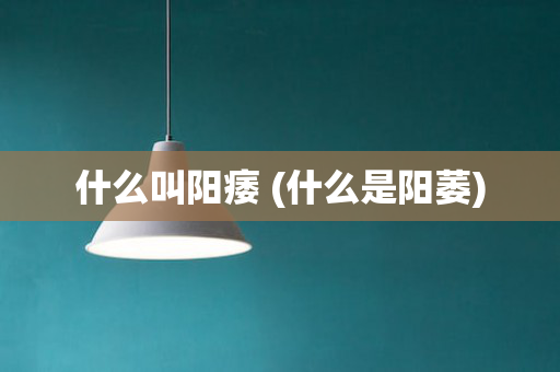 什么叫阳痿 (什么是阳萎)