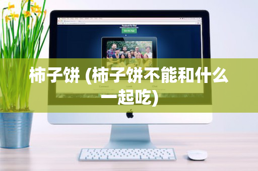 柿子饼 (柿子饼不能和什么一起吃)