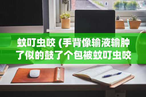蚊叮虫咬 (手背像输液输肿了似的鼓了个包被蚊叮虫咬)