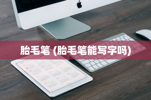 胎毛笔 (胎毛笔能写字吗)