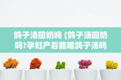 鸽子汤回奶吗 (鸽子汤回奶吗?孕妇产后能喝鸽子汤吗?看完就懂了!)
