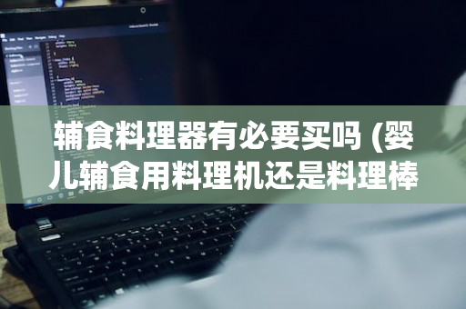 辅食料理器有必要买吗 (婴儿辅食用料理机还是料理棒)