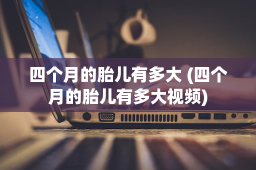 四个月的胎儿有多大 (四个月的胎儿有多大视频)