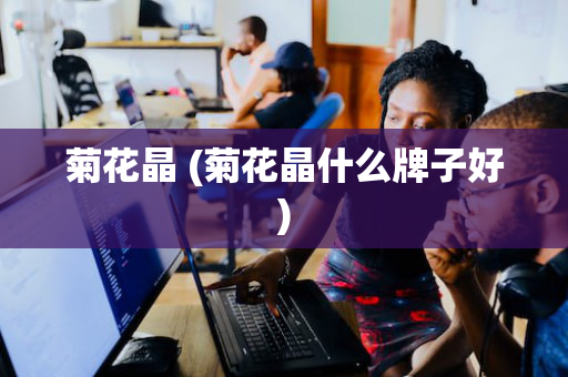 菊花晶 (菊花晶什么牌子好)