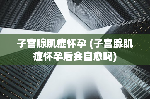 子宫腺肌症怀孕 (子宫腺肌症怀孕后会自愈吗)