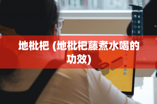 地枇杷 (地枇杷藤煮水喝的功效)