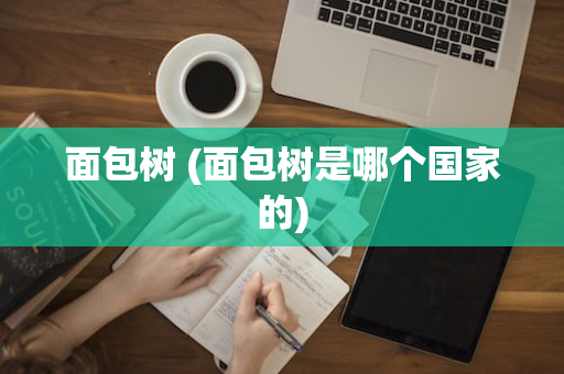 面包树 (面包树是哪个国家的)