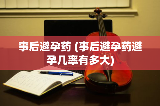 事后避孕药 (事后避孕药避孕几率有多大)