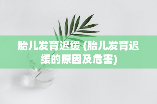 胎儿发育迟缓 (胎儿发育迟缓的原因及危害)