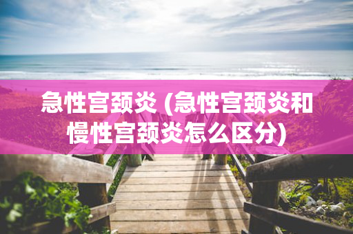急性宫颈炎 (急性宫颈炎和慢性宫颈炎怎么区分)