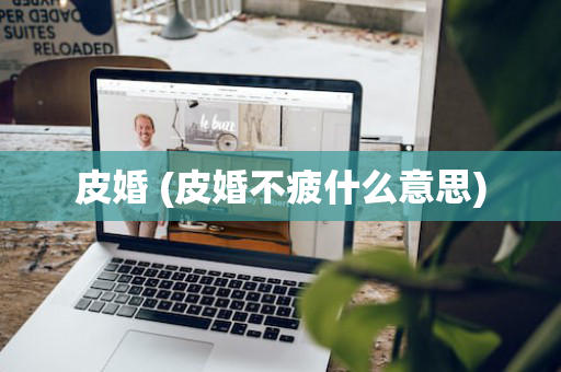 皮婚 (皮婚不疲什么意思)
