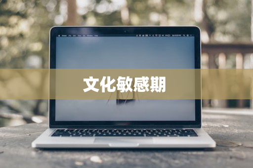 文化敏感期 
