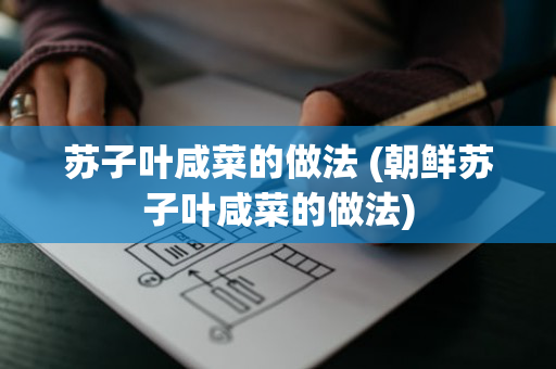 苏子叶咸菜的做法 (朝鲜苏子叶咸菜的做法)