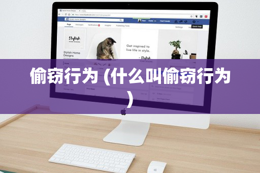 偷窃行为 (什么叫偷窃行为)