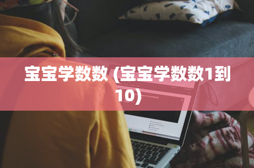 宝宝学数数 (宝宝学数数1到10)