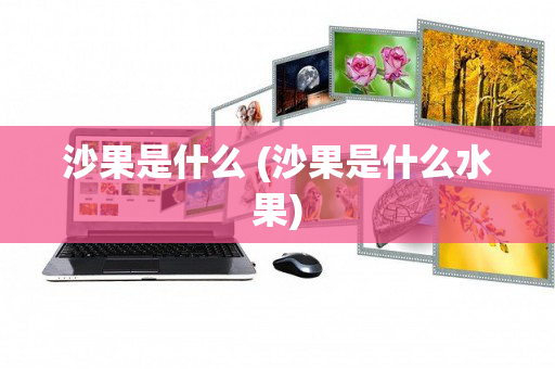 沙果是什么 (沙果是什么水果)