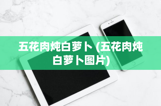 五花肉炖白萝卜 (五花肉炖白萝卜图片)