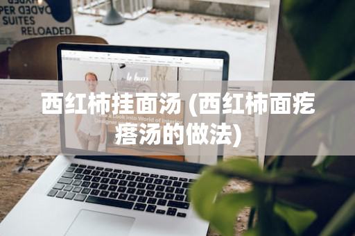 西红柿挂面汤 (西红柿面疙瘩汤的做法)