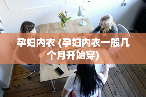 孕妇内衣 (孕妇内衣一般几个月开始穿)