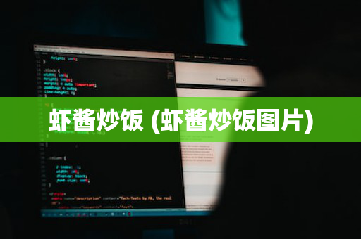 虾酱炒饭 (虾酱炒饭图片)