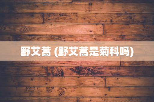 野艾蒿 (野艾蒿是菊科吗)